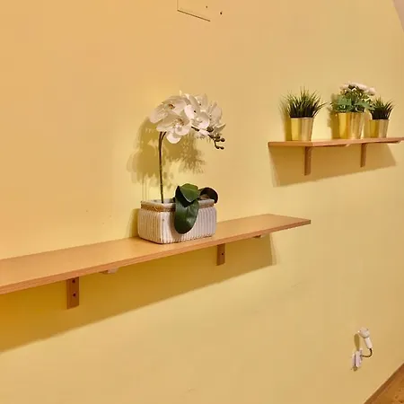 A&p Center Apartment *